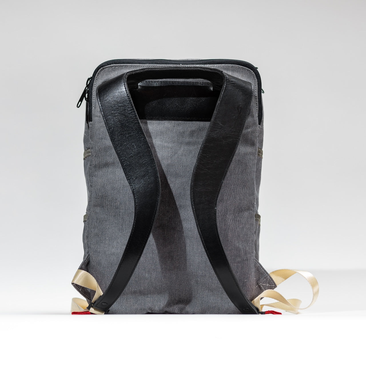 Rear view of the everyday backpack showing leather shoulder straps